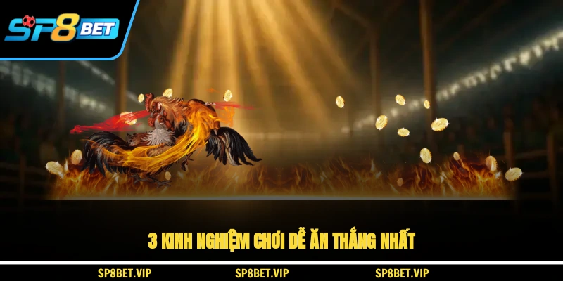 3 kinh nghiệm chơi dễ ăn thắng nhất