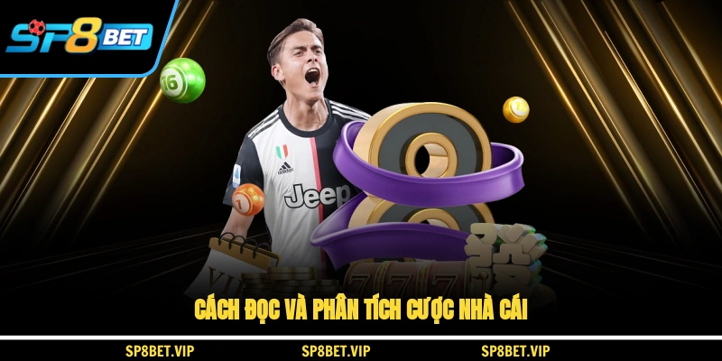 Cách đọc và phân tích cược nhà cái
