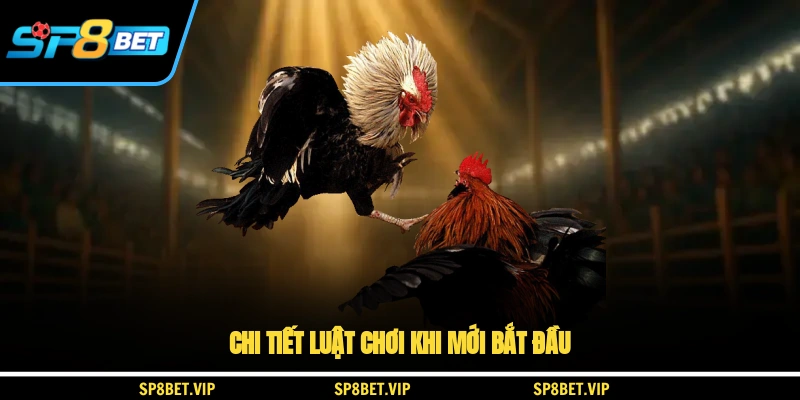Chi tiết luật chơi khi mới bắt đầu