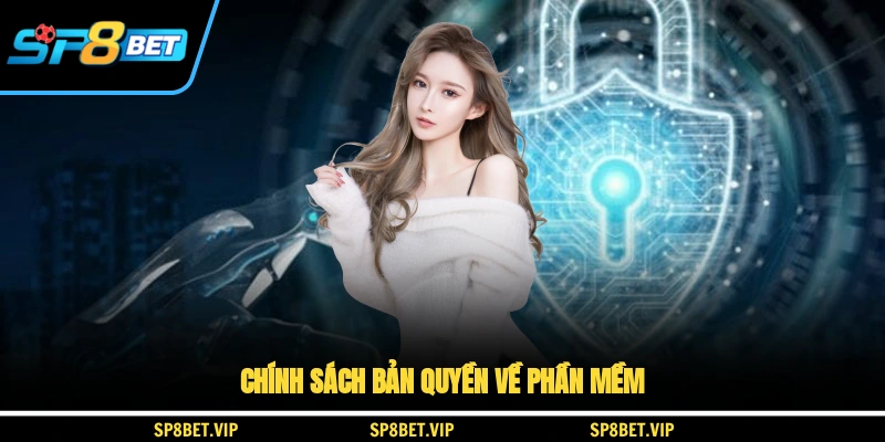 Chính sách bản quyền về phần mềm
