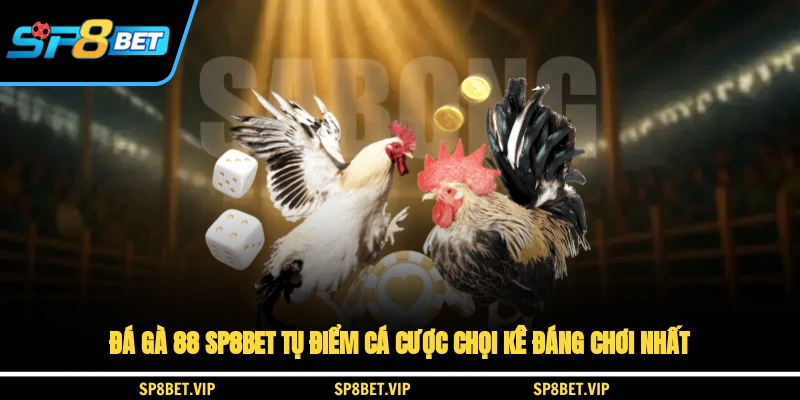 Đá Gà 88 SP8BET- Tụ Điểm Cá Cược Chọi Kê Đáng Chơi Nhất