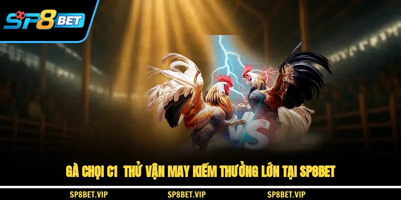 Gà Chọi C1 Thử Vận May, Kiếm Thưởng Lớn Tại SP8BET