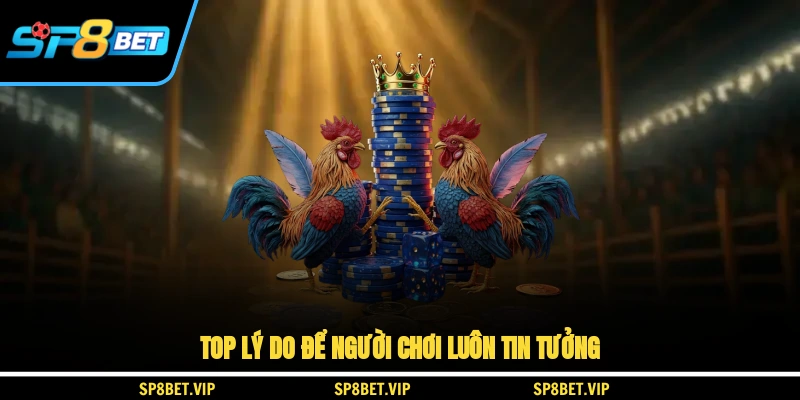 Top lý do để người chơi luôn tin tưởng