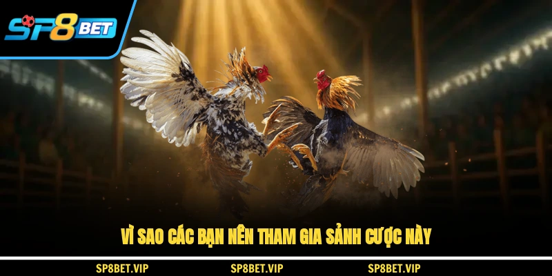 Vì sao các bạn nên tham gia sảnh cược này